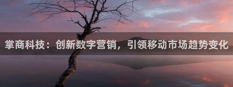 金年会体育app平台怎么样可靠吗