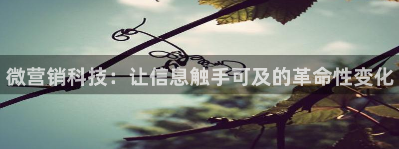 金年会电子游戏app官方网站