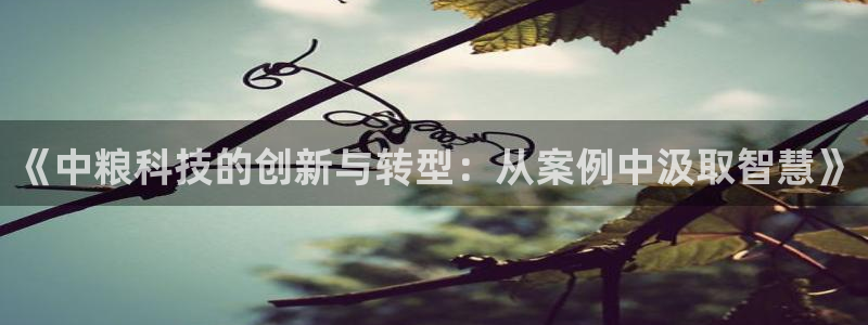 金年会体育怎么样