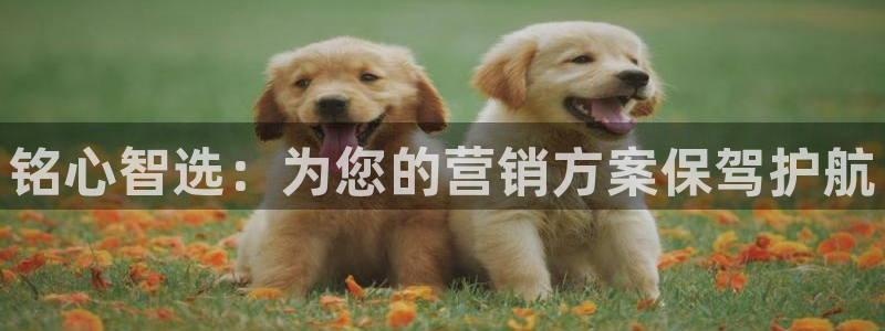 金年会网页版在线登录官网