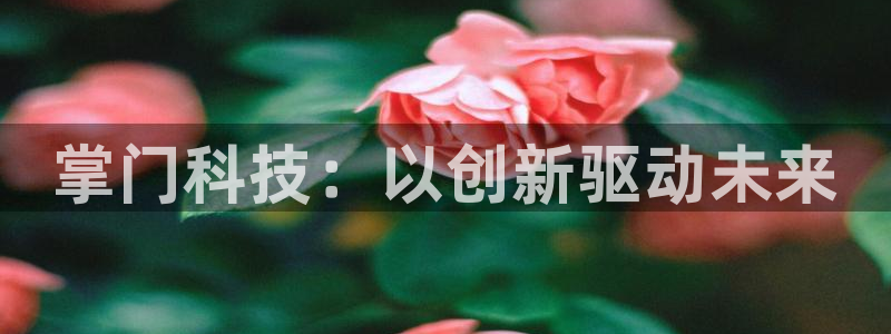 金年会电子游戏怎么玩