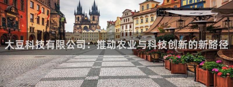 金年会网站拒绝出款怎么解决?