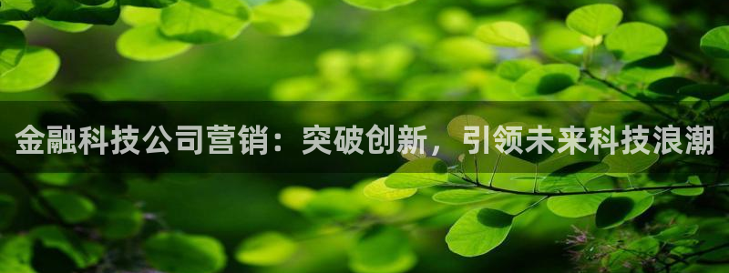 金年会网站入口官网