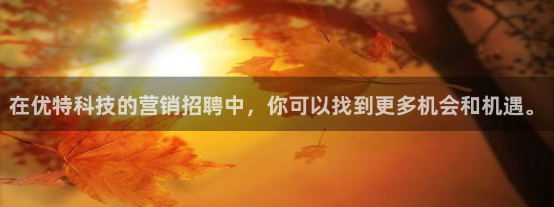 金年会官方app