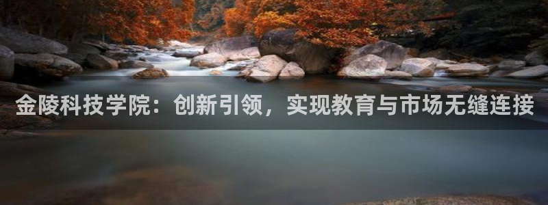 金年会电子游戏怎么玩