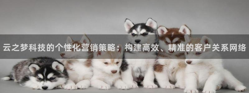 金年会网页版在线登录官网下载