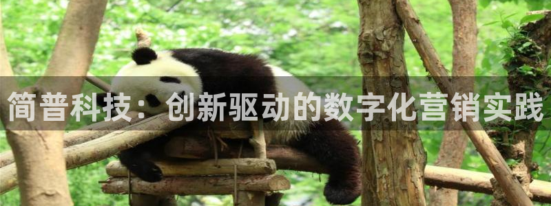 金年会网站入口登录