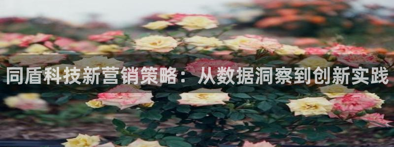 金年会官方登录入口网址