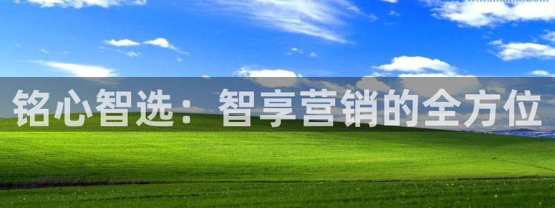 金年会官方网站登录网址是什么
