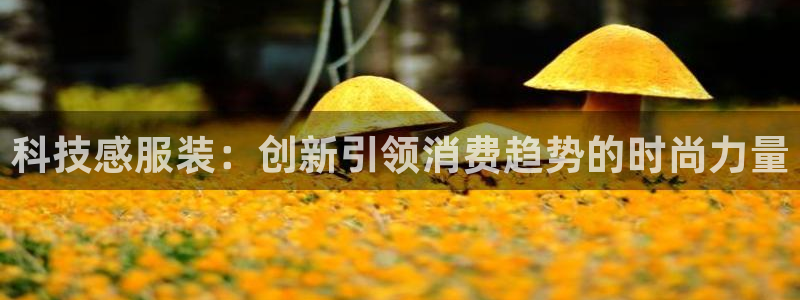 金年会会员登录页面在哪