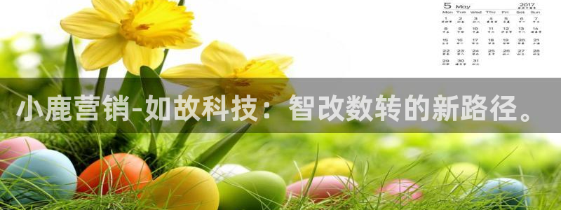 金年会VIP网页版在线登录入口