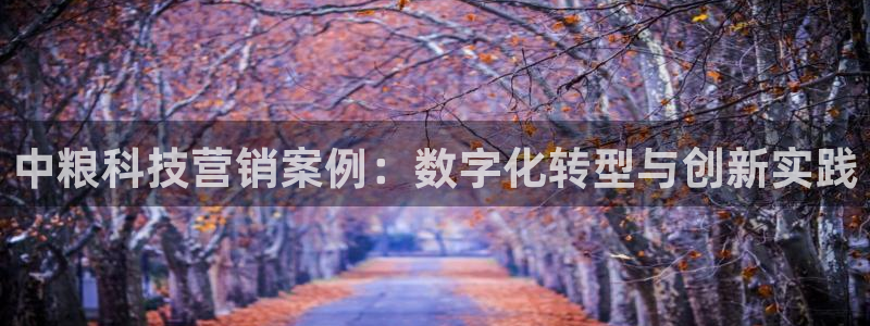 金年会官方入口首页网站下载