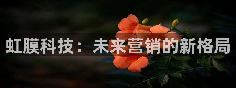 金年会赌博是诈骗