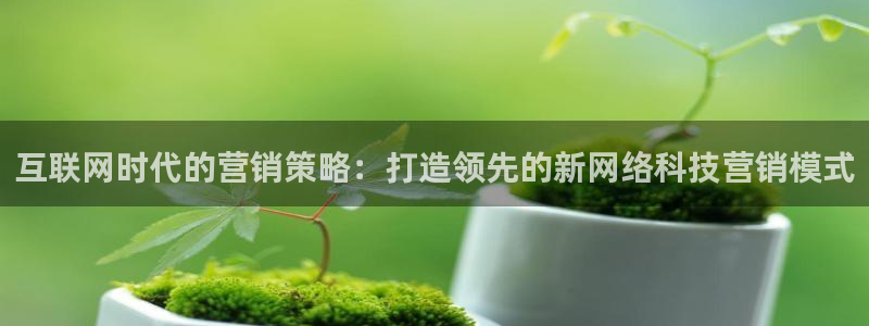 金年会体育在线