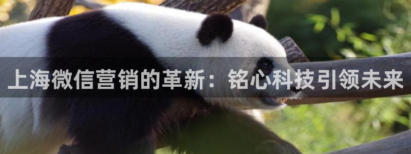 金年会体育买球