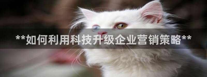 金年会体育手机app下载官网