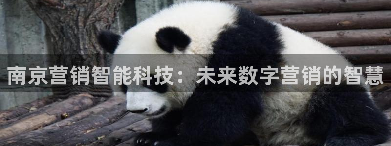 金年会官方在线登录网址是多少啊