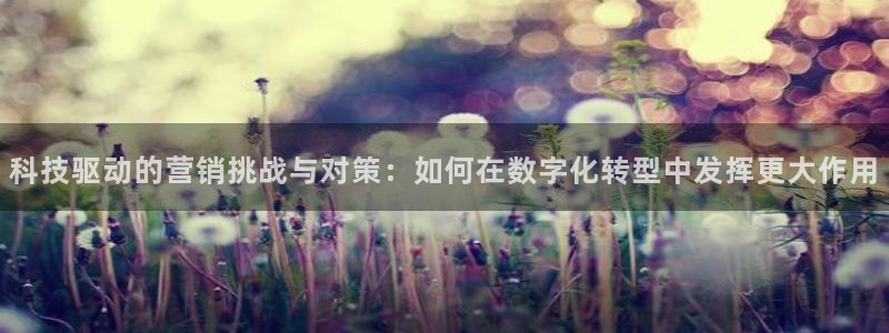 金年会金字招牌诚信至上