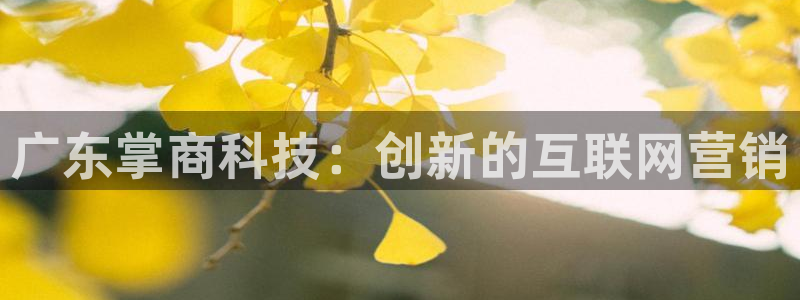 金年会体育官网入口