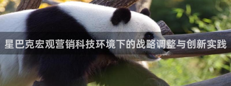 金年会官方在线入口网址查询