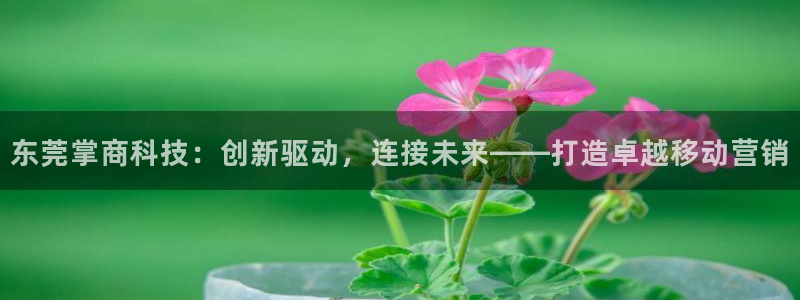 金年会在线入口