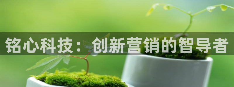 金年会赌博是诈骗