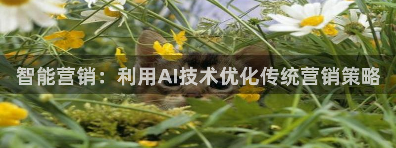 金年会官方入口网站